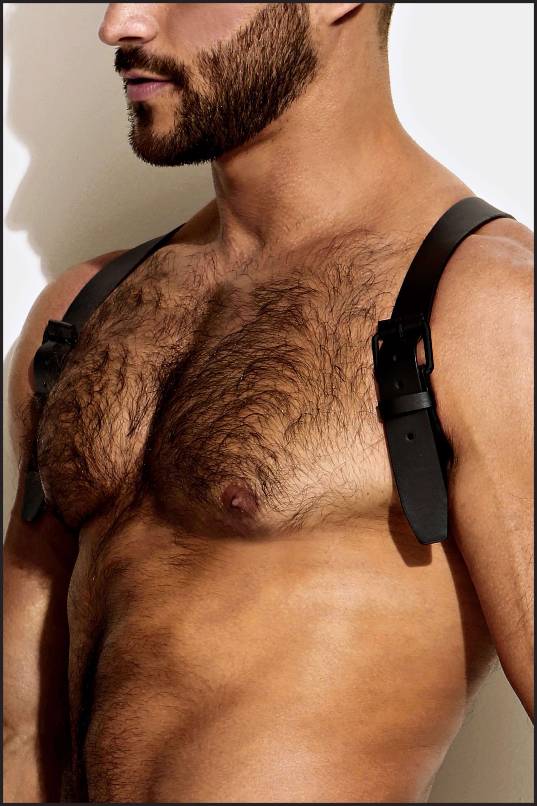 Leather Shoulder Harness - Image 4