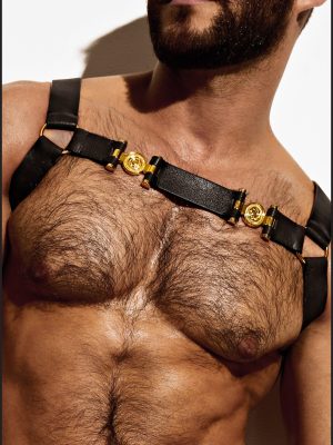 Double Grecian Harness