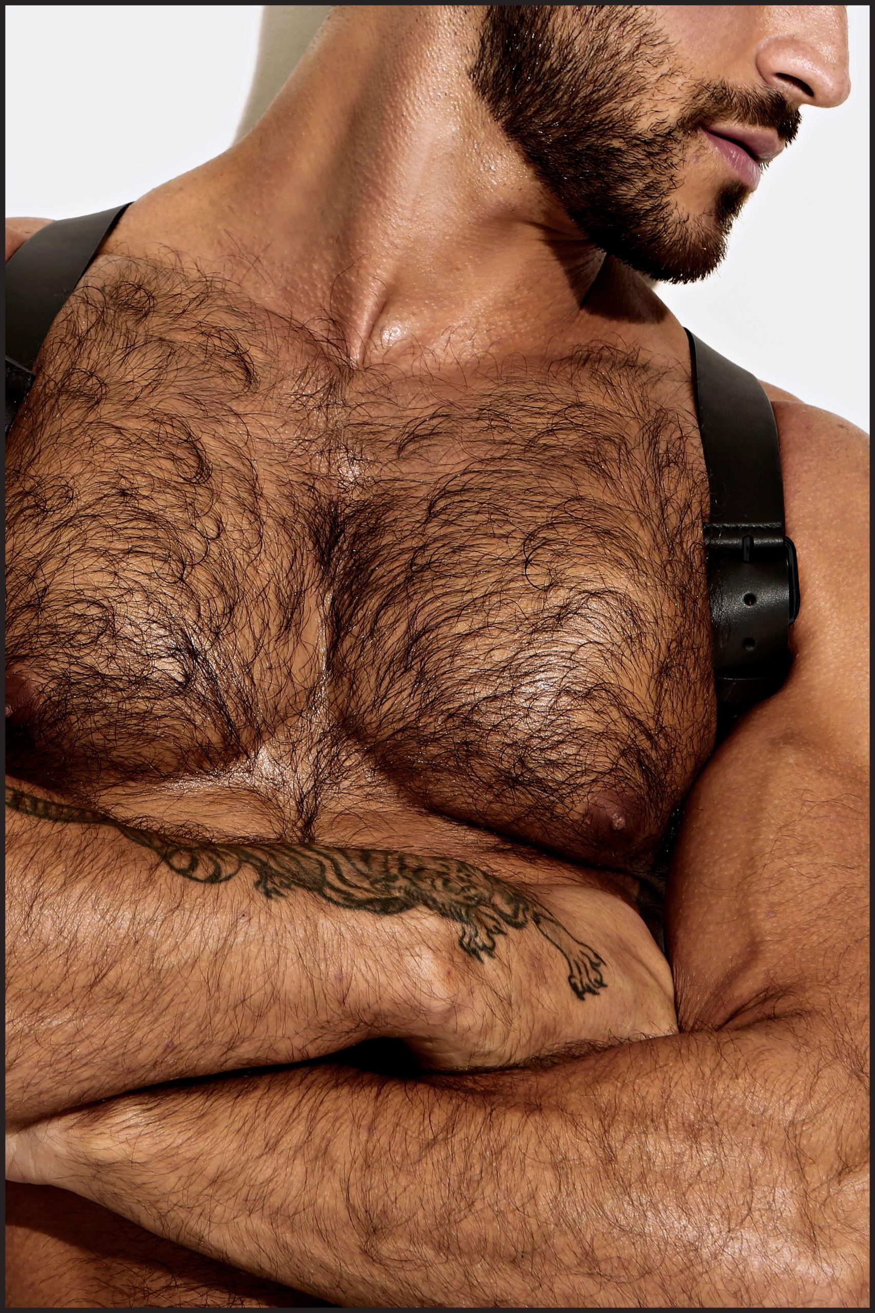 Leather Shoulder Harness - Image 6