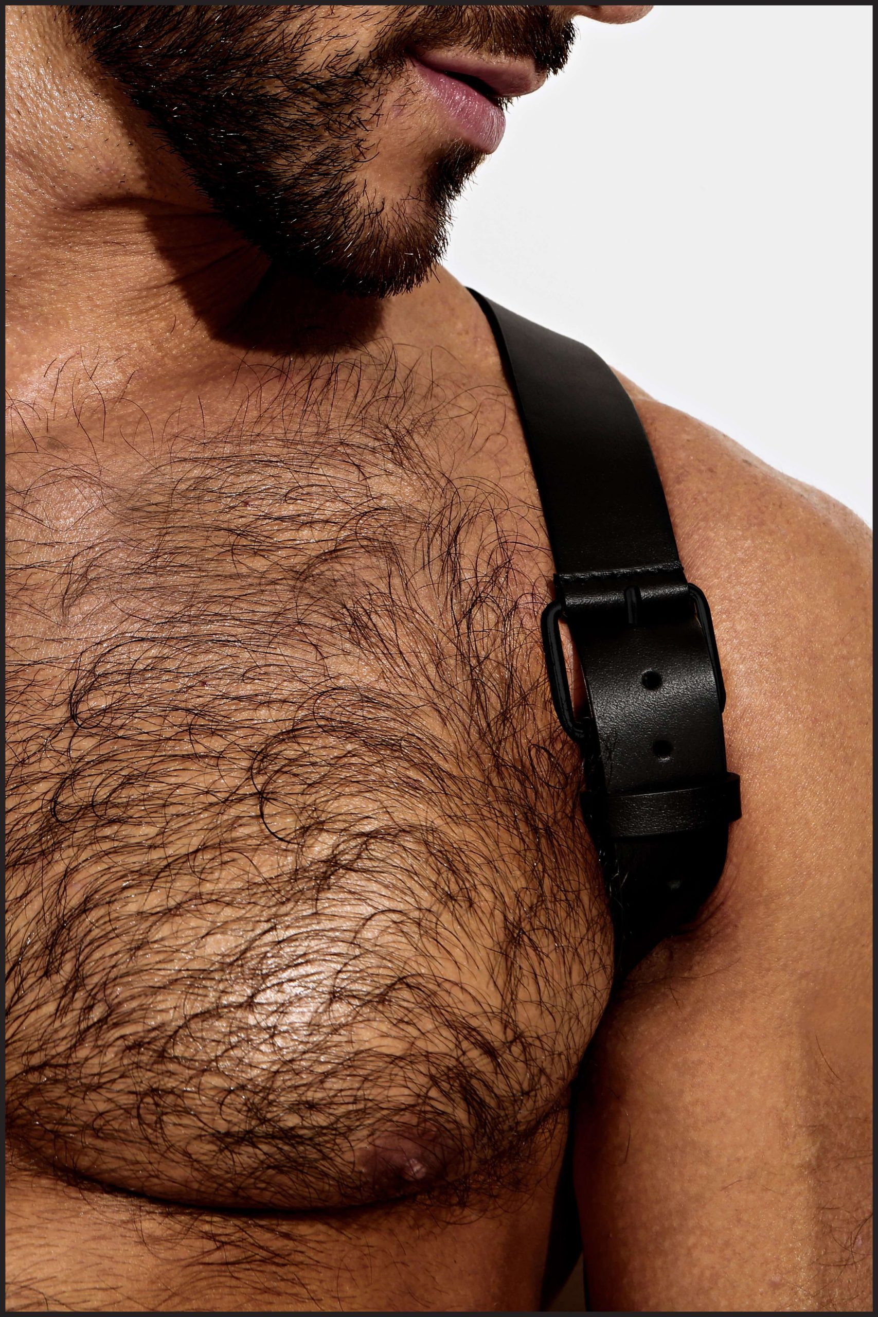 Leather Shoulder Harness - Image 3